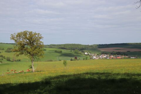 Foto von Günter Kleutsch entlang der Tour