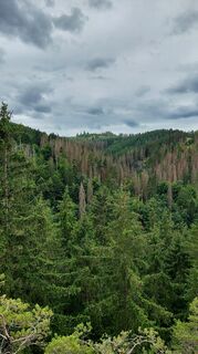 Photo de Wollomator le long du parcours