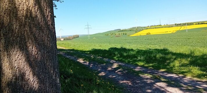 Foto von Neil 1 entlang der Tour