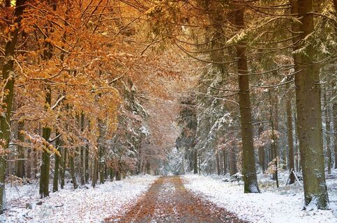 Winterlicher Wanderweg
