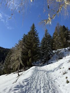 Fotografija s spletne strani Franz hofner na poti