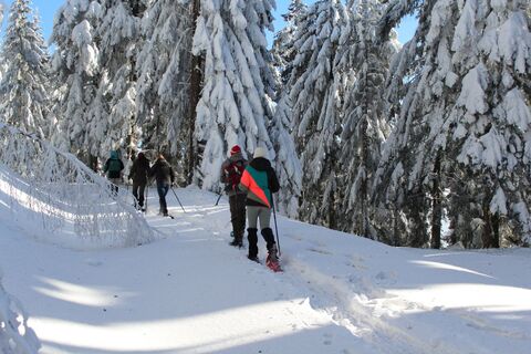 Schneeschuhtour auf dem Brandenkopf