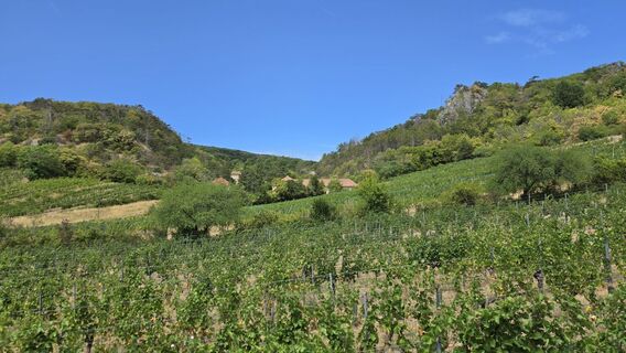 Fotografija s spletne strani fschwarzenberger na poti
