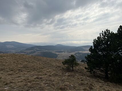 Foto de Miczur a lo largo del recorrido