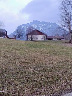 Fotografie z Carinossi na trase