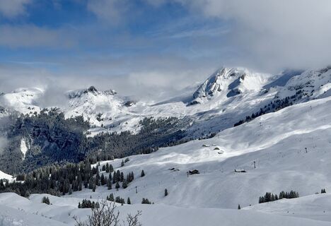 Photo de Blacher le long du parcours