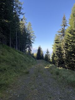 Foto von Kiran Karia entlang der Tour
