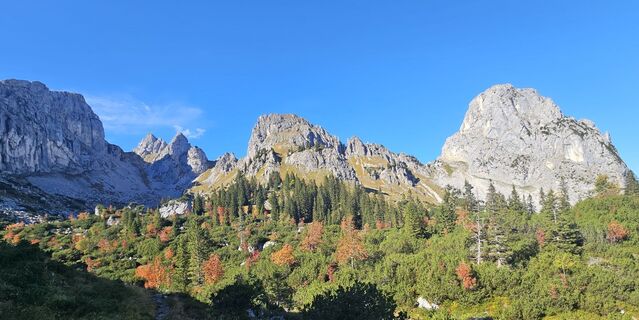 Fotografija s spletne strani hannes.d na poti