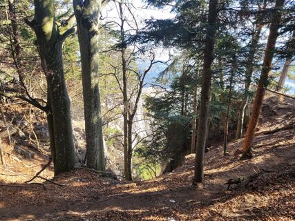 Fotografie de la mmecki de-a lungul turului