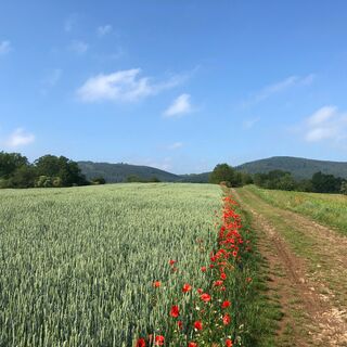Auffahrt in Richtung Eyba