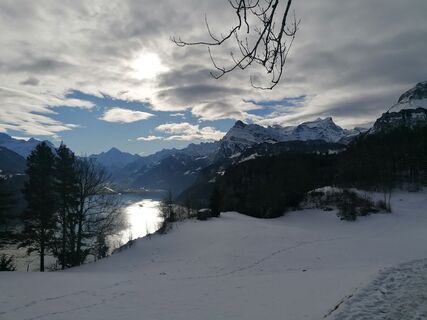 Fotografie z luyyy na trase