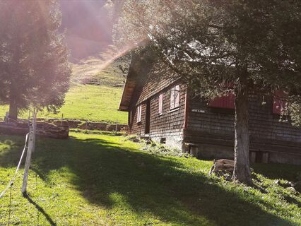 untere Klammalpe