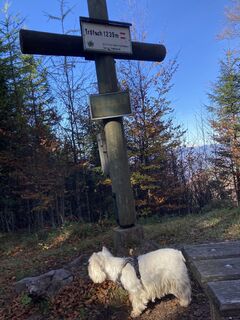Foto von Johann Zettel entlang der Tour