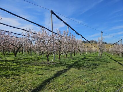 Foto von ElkeA entlang der Tour