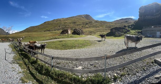 Foto de Peter Grillmaier a lo largo del recorrido