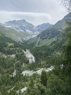 Photo de Tina Gehrig le long du parcours
