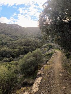 Fotografija s spletne strani CPQS na poti