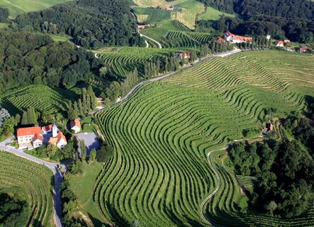 Weinregion Jeruzalem in Slowenien