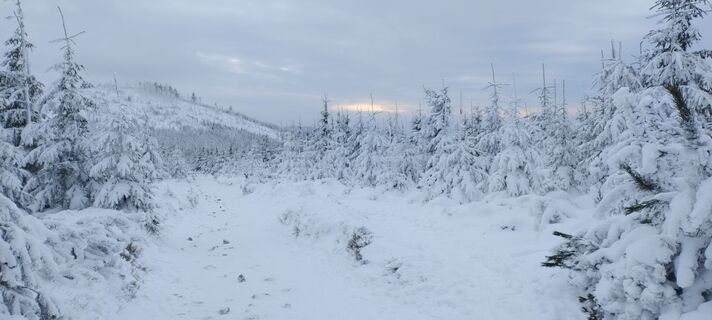 Foto de Sylwiasuchy76 a lo largo del recorrido