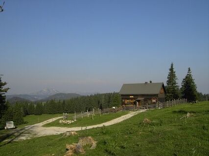 Feldwiesalm