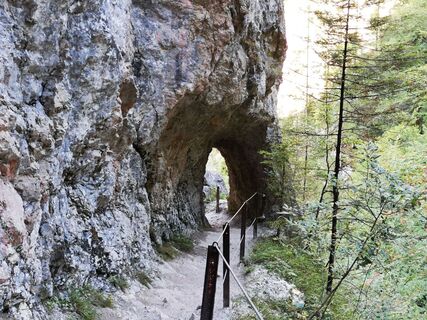 Zwischen Wienerbruck und Stierwaschboden