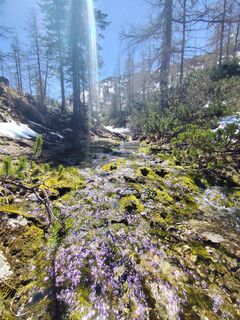 Fotografija s spletne strani Maria Hemetsberger na poti