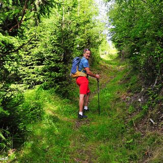 Zu Beginn geht es steil bergan