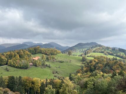 Foto da Ruedi Gerber lungo il tour