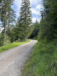 Foto von Heinz Sperl entlang der Tour