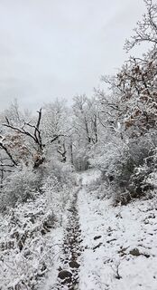 Photo de János Zsolt Mahr le long du parcours