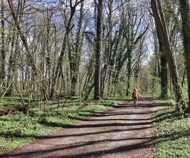 Abwechslungsreich wandern wir durch den Murwald