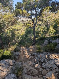 Photo de michael arnold 3 le long du parcours