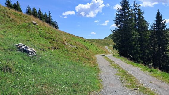 Fotografija s spletne strani bacherling na poti