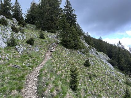 Foto de justasimpleguy a lo largo del recorrido