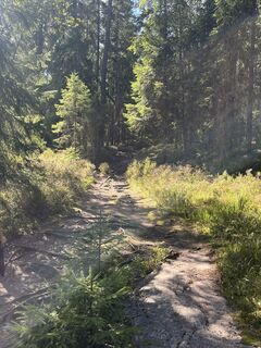 Zdjęcie z Stefan Huber wzdłuż trasy