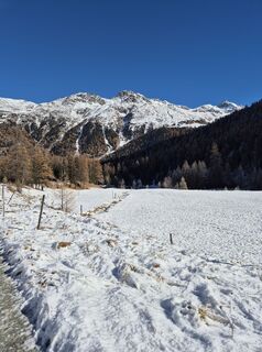 Fotografie z Thomi W na trase