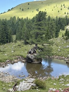 Fotografija s spletne strani Steve Bowen na poti