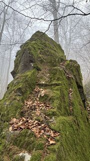 Photo de Reiner Hennemuth le long du parcours