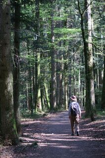 Buchenwald