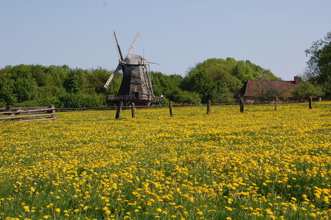 LWL-Freilichtmuseum Detmold