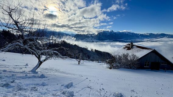 Foto da peter_oe lungo il tour