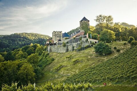 Burg Deutschlandsberg mit Blick auf den Weingarten des Burghügels