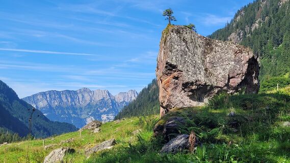 Foto von deniuru entlang der Tour
