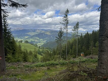 Foto von Alois Moosmann entlang der Tour