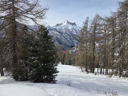 Foto van FABIO MAGLIANO langs de tour