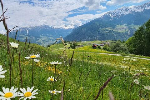 Wiesenweg.jpg