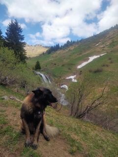Photo de Delpyalain73 le long du parcours