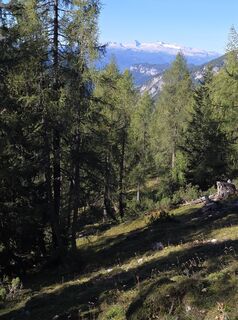 Foto von kajaktiv entlang der Tour