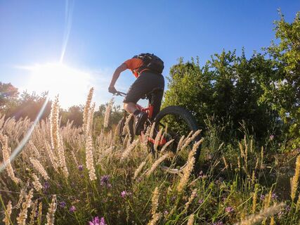MTB-Runde 15 Haut Var