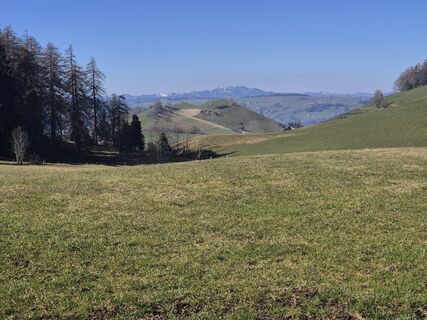 Fotografija s spletne strani Thomi W na poti